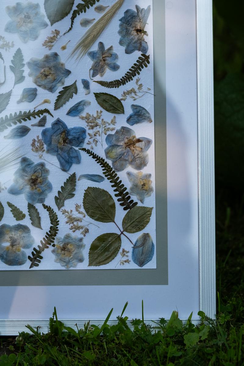 Elegancki obraz z suszonych kwiatów w jasnej metalowej ramce z passe-partout. Kompozycja w odcieniach błękitu i fioletu od Karokwiaty.