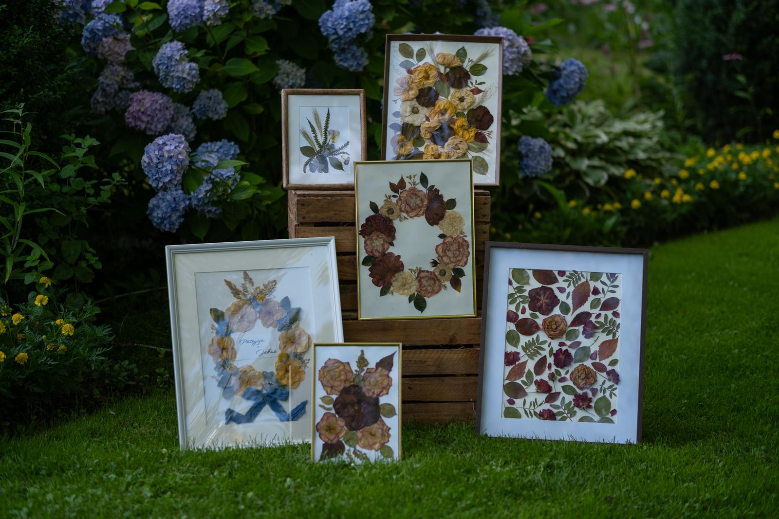 Ekspozycja sześciu obrazów z suszonych kwiatów w ogrodzie na zielonej trawie. Kolekcja Karokwiaty z tłem hortensji.