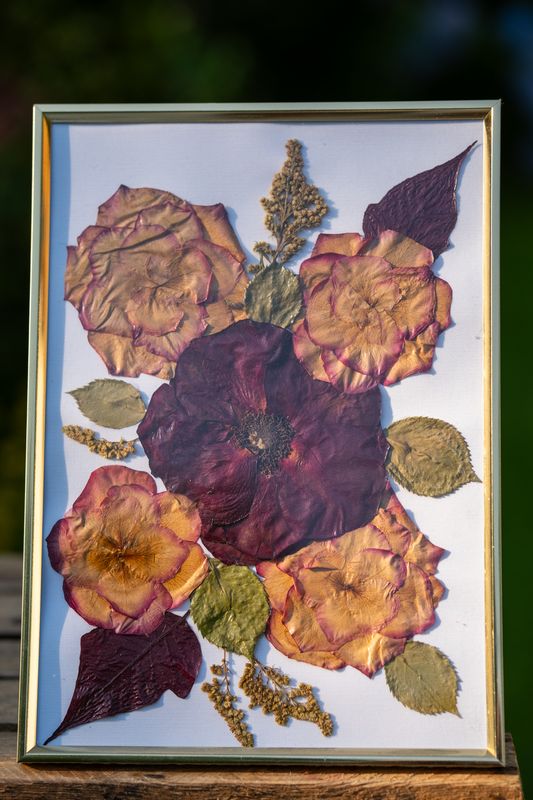 Elegancki obraz z suszonych kwiatów w złotej ramce. Centralny kwiat w odcieniach burgundu i brzoskwini od Karokwiaty.