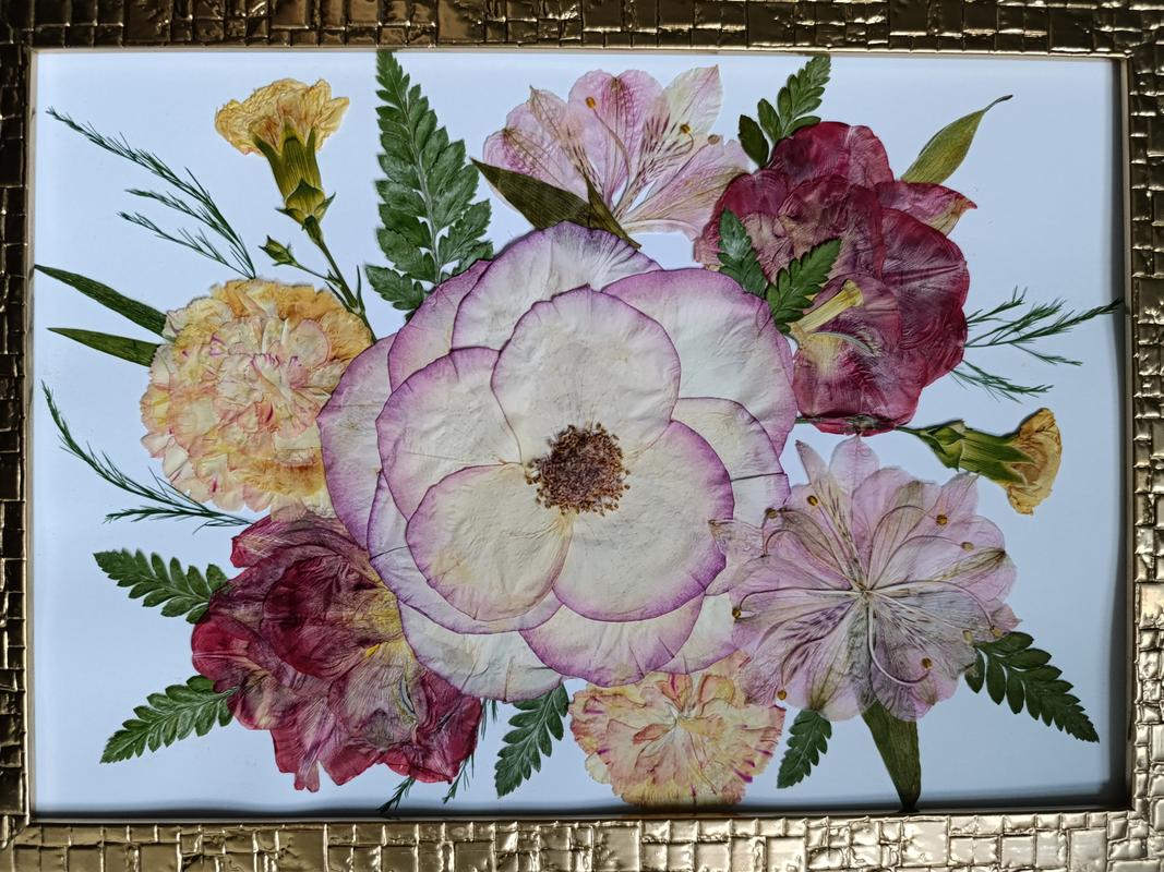 Elegancki obraz z suszonych kwiatów w złotej ramce, centralna kompozycja z białego kwiatu z fioletowymi brzegami. Pamiątkowy obraz Karokwiaty.