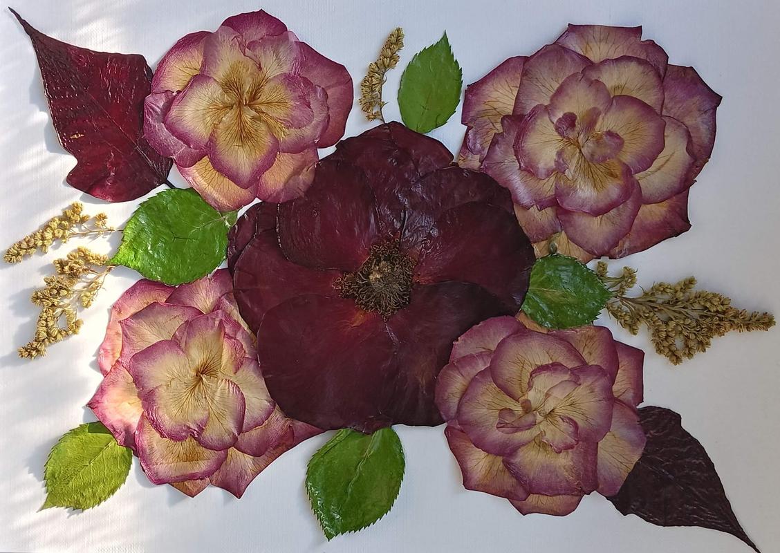 Elegancka kompozycja z suszonych kwiatów w odcieniach burgundu, różu i fuksji na białym tle. Sztuka Karokwiaty.